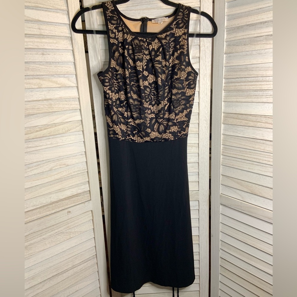 Dressbarn Stretch Lace Black and Tan Round Neck A Line Flare Skirt Midi Dress